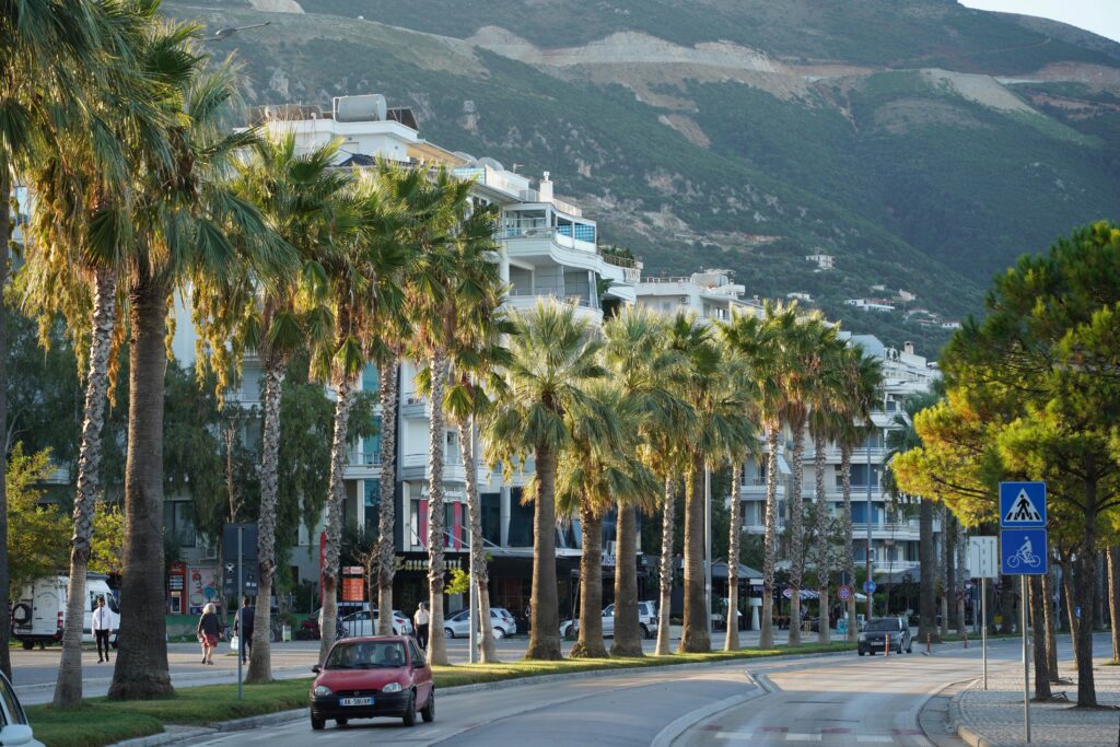 Palm tree-lined boulevard in Vlorë city along the Albanian Riviera, with coastal mountains in the background